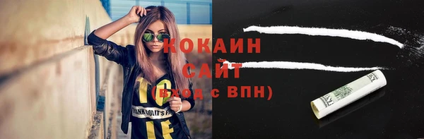mdma Новодвинск