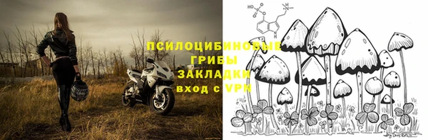 mdma Новодвинск
