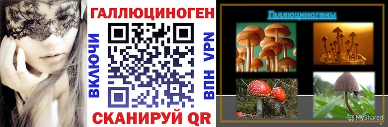 Галлюциногенные грибы мухоморы  купить закладку  Электрогорск 