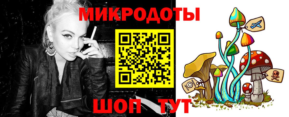 Электрогорск  Псилоцибиновые грибы ЛСД  Вход с VPN  Галлюциногенные грибы Psilocybine cubensis 