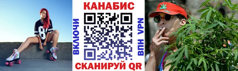 где купить   Электрогорск  Бошки Шишки планчик 